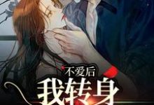 《不爱后,我转身缠上霸总》小说精彩章节免费试读,许南夕林淮年小说在线阅读-够力荐小说推荐网