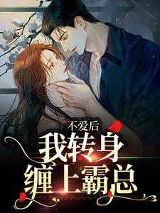 《不爱后，我转身缠上霸总》小说精彩章节免费试读，许南夕林淮年小说在线阅读