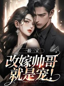 一胎三宝，改嫁帅哥就是宠！小说，一胎三宝，改嫁帅哥就是宠！在线阅读
