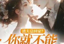 渣夫总回家？你就不能找找新欢洛言赵晏州小说在线章节目录阅读最新章节-够力荐小说推荐网