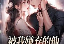 《被我嫌弃的他,竟成了我的港湾》小说在线试读,《被我嫌弃的他,竟成了我的港湾》最新章节目录-够力荐小说推荐网