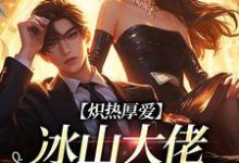 《炽热厚爱：冰山大佬逼我结婚》小说精彩章节免费试读，陆时和周岁禾小说在线阅读-够力荐小说推荐网