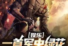 许参小说《娱乐：一首军中绿花，军嫂破防》在线阅读-够力荐小说推荐网