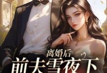 求离婚后，前夫雪夜下跪求回头小说免费资源-够力荐小说推荐网