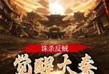 诛杀反贼，觉醒大秦千年气运主角嬴启小说无删减版在线阅读-够力荐小说推荐网