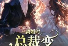 小说《离婚时,总裁变偏执病娇了》在线阅读-够力荐小说推荐网
