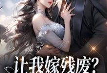 小说《让我嫁残废?你快来替我虐!》免费阅读-够力荐小说推荐网