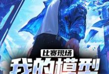庞和平小说叫什么(比赛现场,我的模型吓呆鹰酱免费阅读)-够力荐小说推荐网