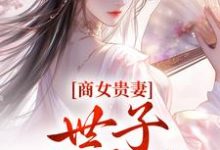 商女贵妻：世子，来算账免费阅读，商女贵妻：世子，来算账姚珍珠沈怀谦-够力荐小说推荐网