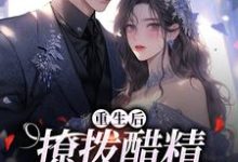小说《重生后，撩拨醋精小男友》在线阅读-够力荐小说推荐网