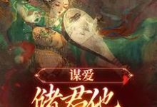 徐冰莹谢崧小说叫什么（谋爱：储君他甘愿弃皇位免费阅读）-够力荐小说推荐网