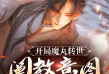 开局魔丸转世,阐教意图夺我江山主角陆冲小说无删减版在线阅读-够力荐小说推荐网