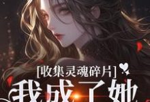 《收集灵魂碎片,我成了她的心尖宠》小说在线试读,《收集灵魂碎片,我成了她的心尖宠》最新章节目录-够力荐小说推荐网