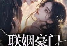 沈心姿陆仲廷小说《联姻豪门继承人后，我逃婚了！》在线阅读-够力荐小说推荐网