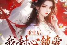 主角叫萧煜苏婉宁小说重生后，我封心锁爱，皇帝请离开免费阅读-够力荐小说推荐网