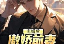 无删减版《离婚后,傲娇前妻被疯狂打脸》免费阅读-够力荐小说推荐网