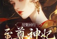 男女主人公颜璃萧钰小说涅槃回归，至尊神妃倾天下免费阅读-够力荐小说推荐网