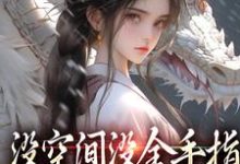 没空间没金手指，让我咋修仙萧晗，没空间没金手指，让我咋修仙最新章节-够力荐小说推荐网