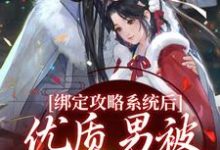 无删减版《绑定攻略系统后，优质男被她迷晕了》免费阅读-够力荐小说推荐网