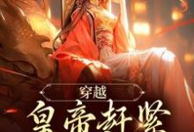 无删减版《穿越：皇帝赶紧给我打江山》免费阅读-够力荐小说推荐网