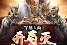 主人公殷寿小说穿越大商，开局灭十万叛军在线阅读-够力荐小说推荐网