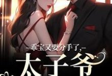 乖宝又要分手了，太子爷求贴贴小说，乖宝又要分手了，太子爷求贴贴最新章节-够力荐小说推荐网