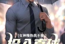 女神慢热我不要，投入直球女怀抱丁歌王诗雪小说大结局免费试读-够力荐小说推荐网