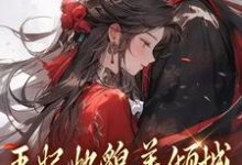 无删减版《王妃她貌美倾城，王爷你赶紧追！》免费阅读-够力荐小说推荐网