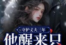 主人公季司予鹿晚星小说守护丈夫三年，他醒来只要白月光在线阅读-够力荐小说推荐网