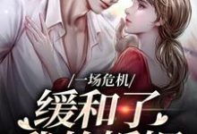 主人公叫南迦北铮的小说一场危机，缓和了我的婚姻在线阅读-够力荐小说推荐网