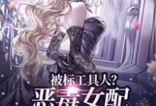 被标工具人？恶毒女配甩男主求自由小说，被标工具人？恶毒女配甩男主求自由在线阅读-够力荐小说推荐网