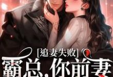小说《婚内越轨!我高嫁京圈前夫急疯了》在线阅读-够力荐小说推荐网