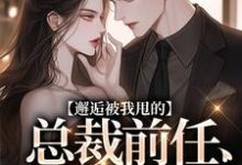 主人公陆挽江远舟小说邂逅被我甩的总裁前任,他又爱了!在线阅读-够力荐小说推荐网