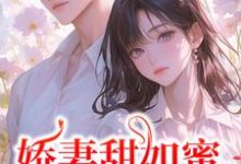 小说《娇妻甜如蜜：总裁认栽了》免费阅读-够力荐小说推荐网