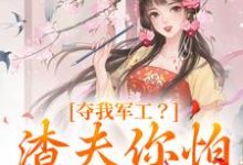 夺我军工？渣夫你怕是没命享小说，夺我军工？渣夫你怕是没命享在线阅读-够力荐小说推荐网