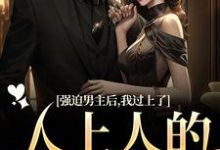 强迫男主后，我过上了人上人的生活赵汀兰沈颂川小说大结局免费试读-够力荐小说推荐网