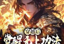 小说《穿越后，觉醒无上功法的我要复仇了》在线阅读-够力荐小说推荐网