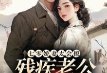 男女主人公罗念初叶瑾南小说七零娇妻太会撩,残疾老公甜蜜蜜免费阅读-够力荐小说推荐网