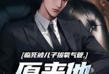 《临死被儿子拔氧气管，原来他非亲生》全集免费在线阅读（林子阳陆晓雪）-够力荐小说推荐网