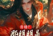 小说《青楼?那明明是本皇子的根据地》免费阅读-够力荐小说推荐网
