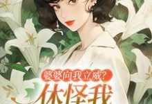 婆婆向我立威？休怪我一拳让你老实姜婉小说在线章节目录阅读最新章节-够力荐小说推荐网