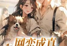 无删减版《网恋成真,这小子乐癫了》免费阅读-够力荐小说推荐网