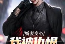 无删减版《娇妻变心，我被仇恨占据了全身》在线免费阅读-够力荐小说推荐网