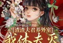 渣渣夫君养外室，我休夫灭妾另高嫁小说，渣渣夫君养外室，我休夫灭妾另高嫁最新章节-够力荐小说推荐网