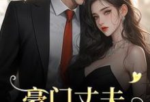 主角宁染陆时钧小说无删减版在线阅读，豪门丈夫为何一反常态，频频回家？免费看-够力荐小说推荐网