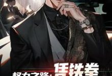 权力之路：凭铁拳，我令黑势力退避步青云雷蕾，权力之路：凭铁拳，我令黑势力退避在线阅读-够力荐小说推荐网