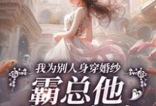 《我为别人身穿婚纱，霸总他当场发疯》小说主角骆京雪傅庭时免费在线阅读-够力荐小说推荐网