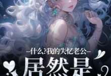 主角叫李阿曼敖光小说什么?我的失忆老公居然是东海龙王免费阅读-够力荐小说推荐网