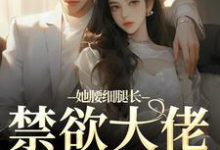 她腰细腿长,禁欲大佬不经撩小说在线无弹窗免费阅读-够力荐小说推荐网