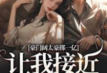 小说《豪门阔太豪掷一亿，让我接近她儿子》在线阅读-够力荐小说推荐网